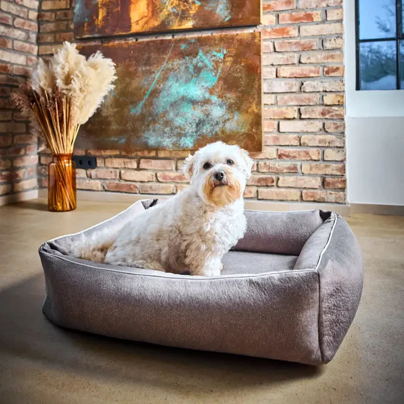 Ortho Bett Buffalo
