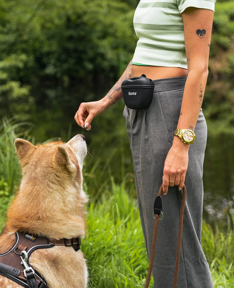 Hunde Futterbeutel aus Silikon mit Clip, 2er-Set