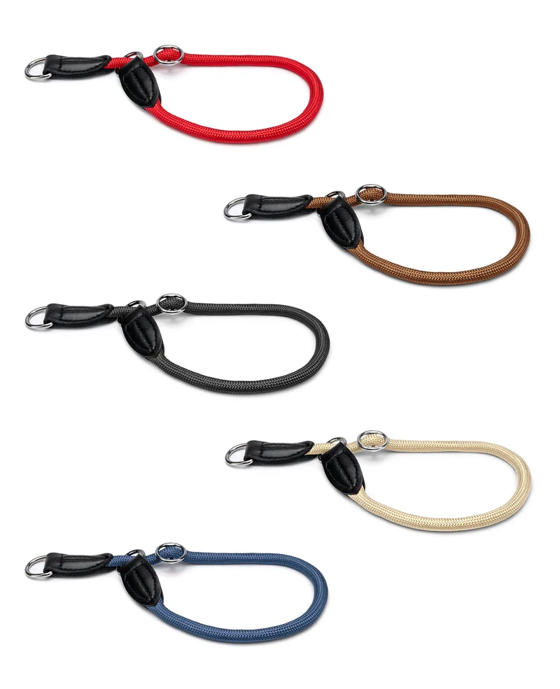 Hundehalsband mit Zugstopp