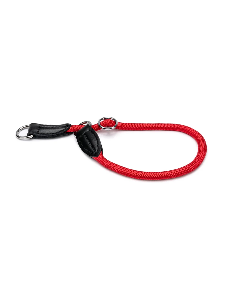 Hundehalsband mit Zugstopp