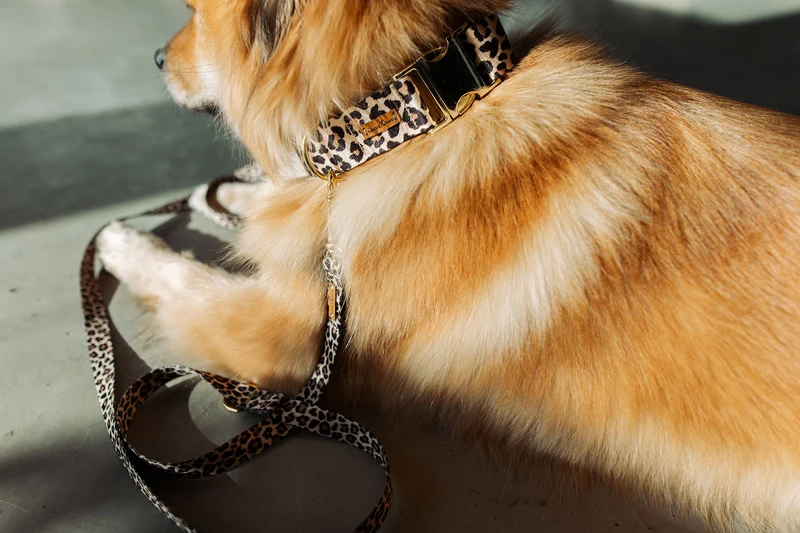 Welpenhalsband LEO