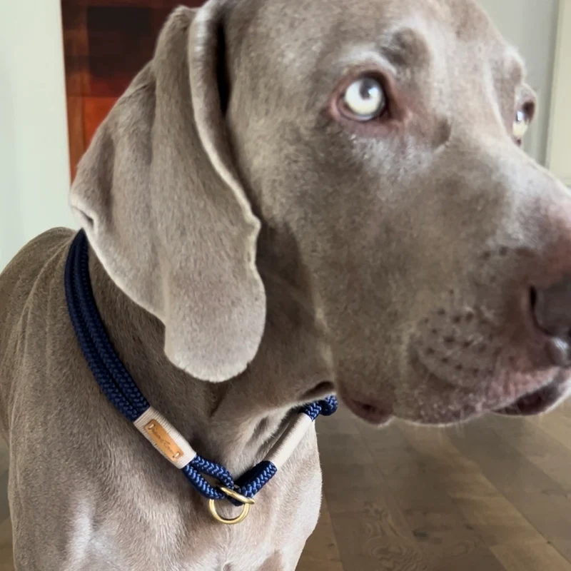 Zugstopp-Halsband Indigo Sea BEIGE