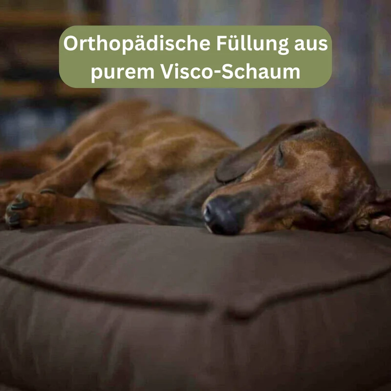 Orthopädisches Hundekissen - Organic 95