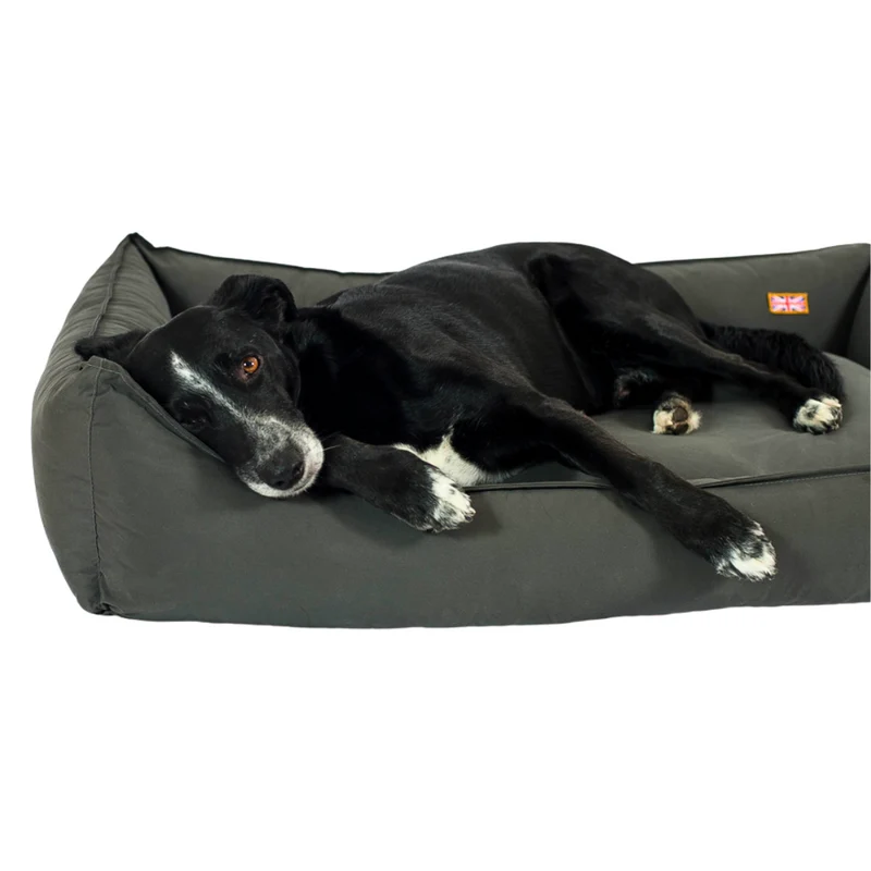 Orthopädisches Hundebett - Sealand