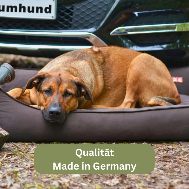 Orthopädisches Hundebett - Sealand