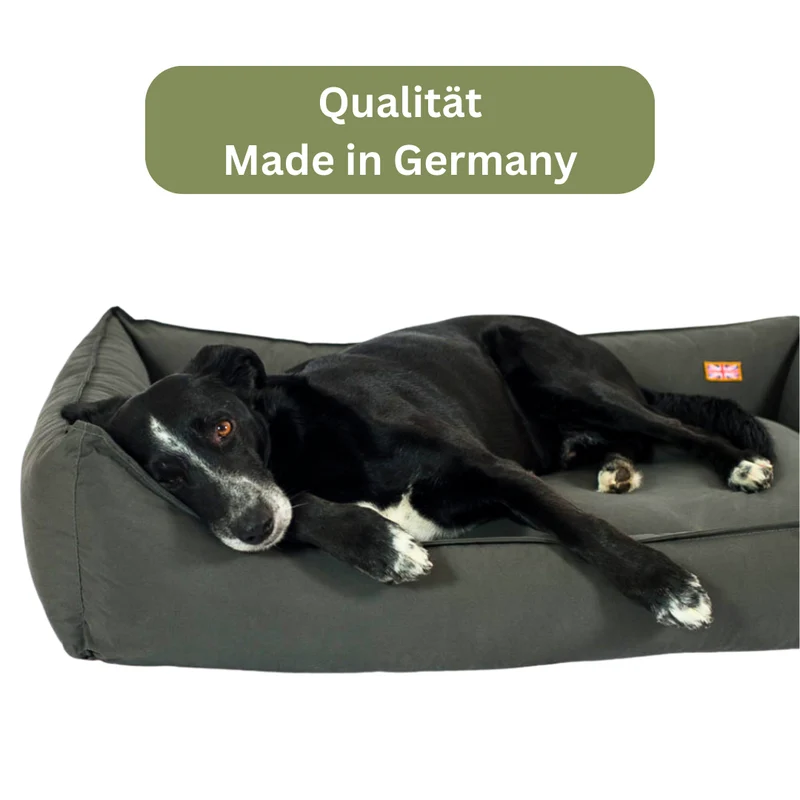 Orthopädisches Hundebett - Sealand