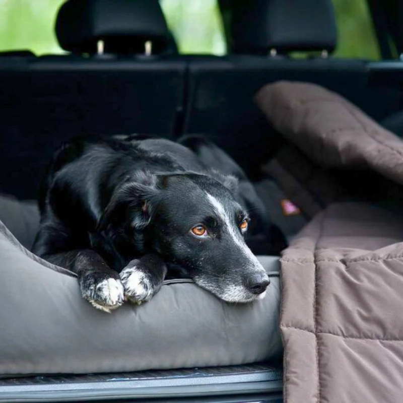 Orthopädisches Hundebett - Sealand