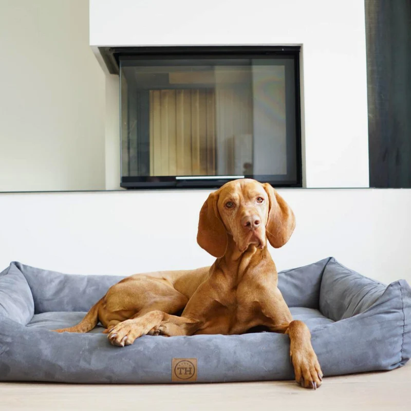 Orthopädisches Hundebett - Classic