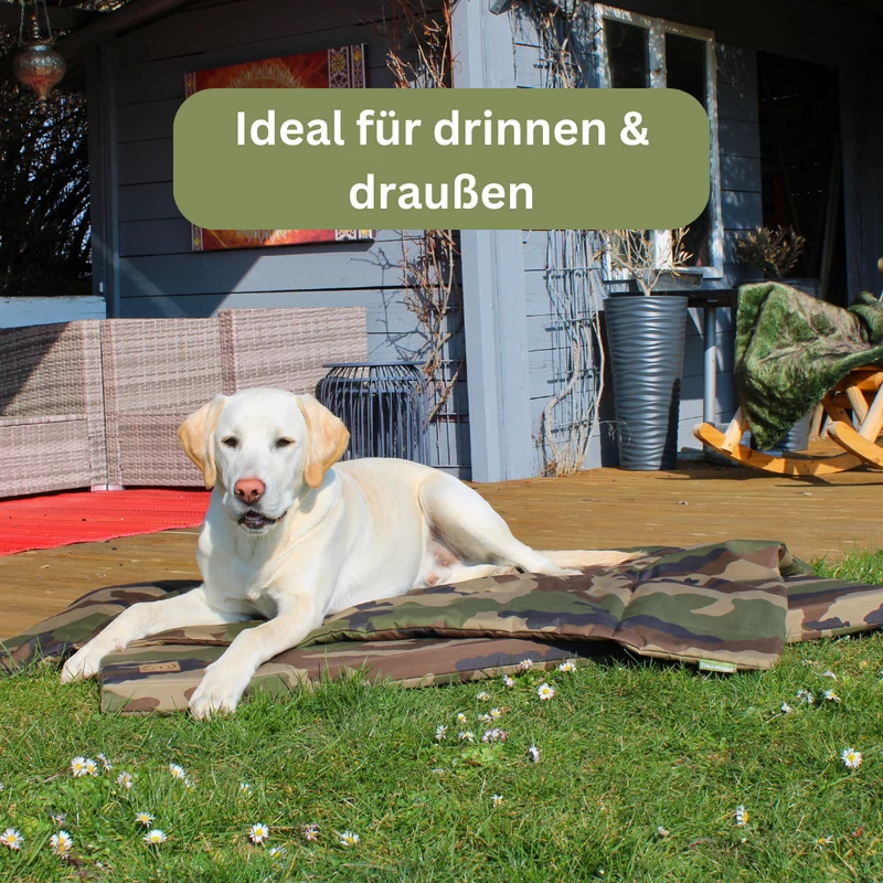 Bezug - Adventure für Hundematten von Traumhund®