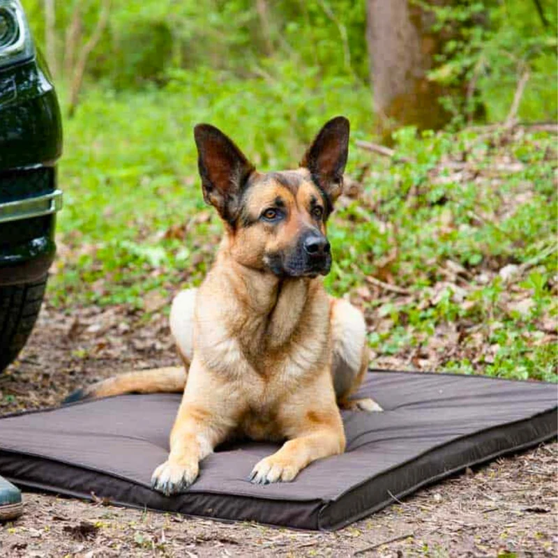 Bezug - Sealand für Hundematten von Traumhund®