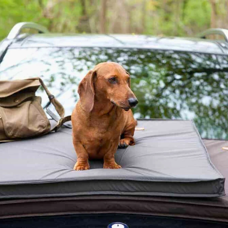 Bezug - Sealand für Hundematten von Traumhund®