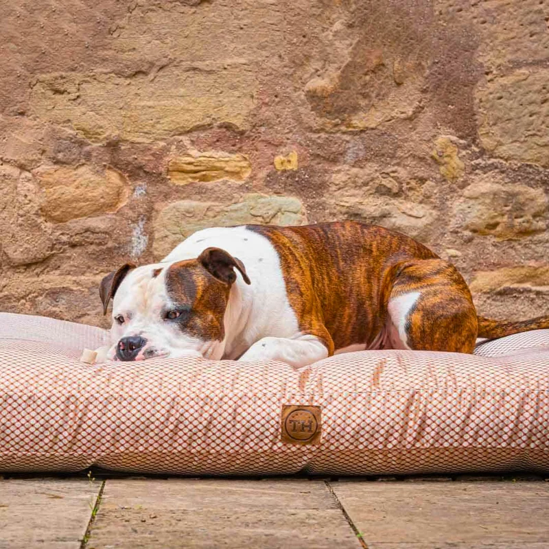 Orthopädisches Hundekissen - CARA