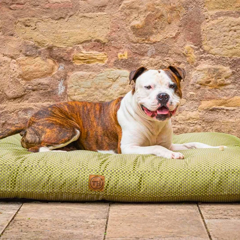 Orthopädisches Hundekissen - CARA