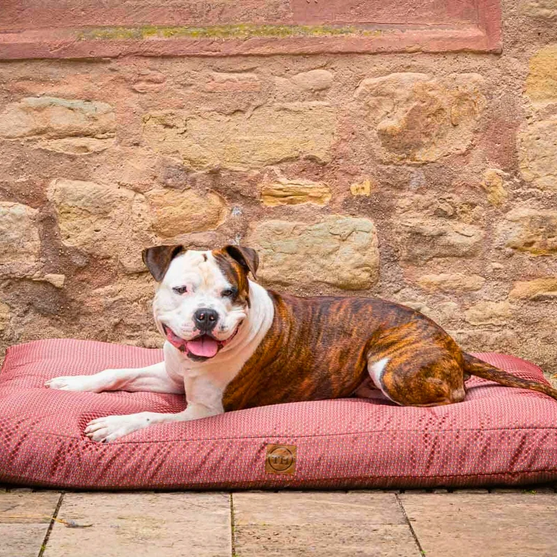 Orthopädisches Hundekissen - CARA