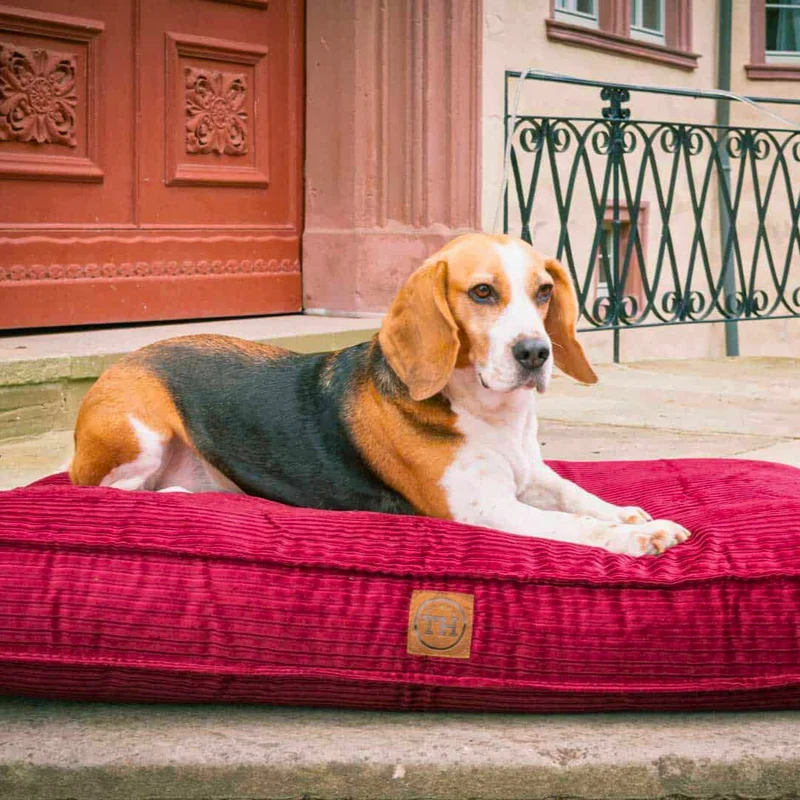 Orthopädisches Hundekissen - Boheme