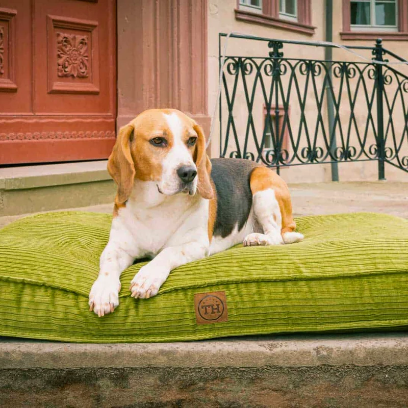 Orthopädisches Hundekissen - Boheme