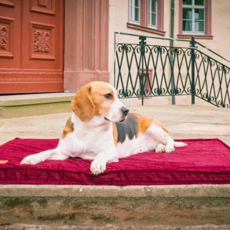 Orthopädische Hundematte - Boheme