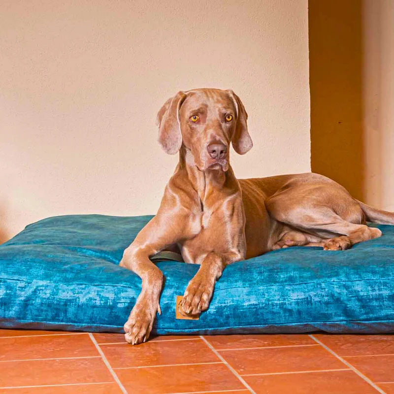 Orthopädisches Hundekissen - Vintage-Samt