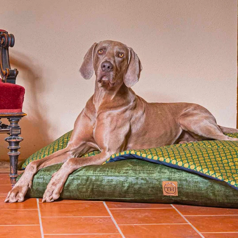 Orthopädisches Hundekissen - Vintage-Samt