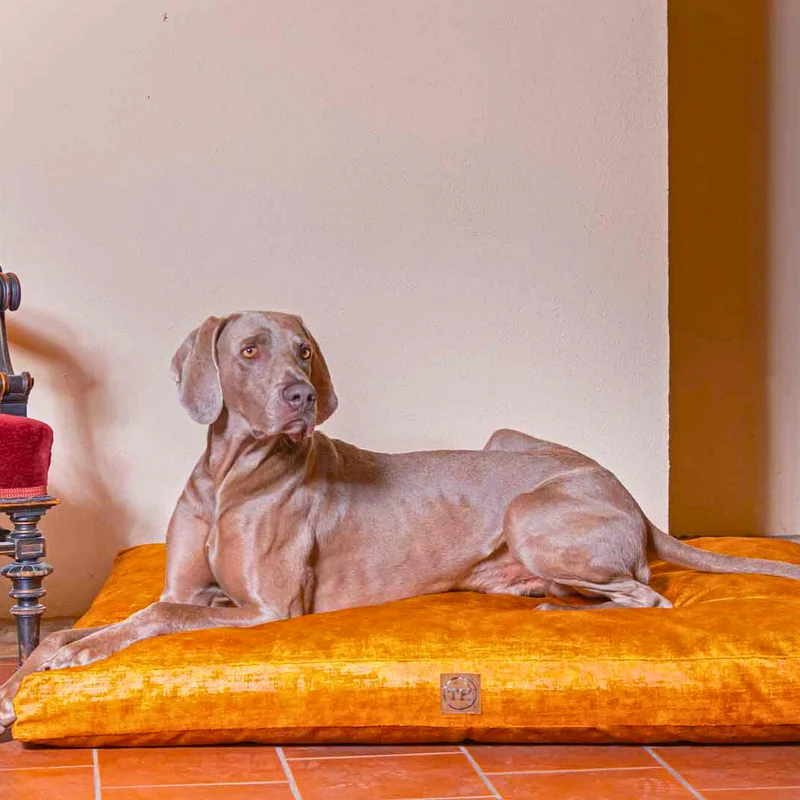 Orthopädisches Hundekissen - Vintage-Samt