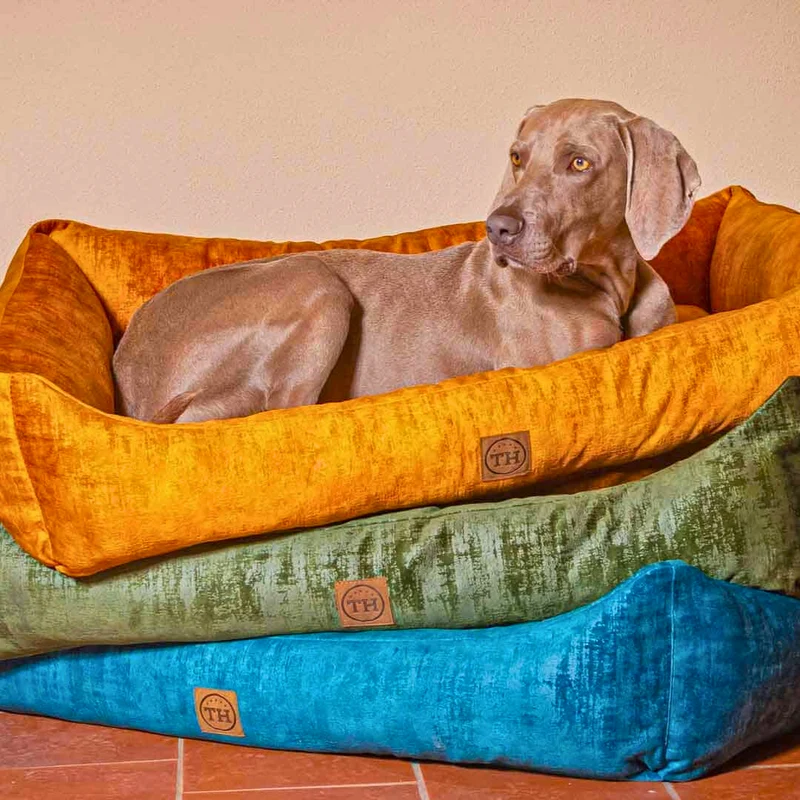 Orthopädisches Hundebett - Vintage-Samt