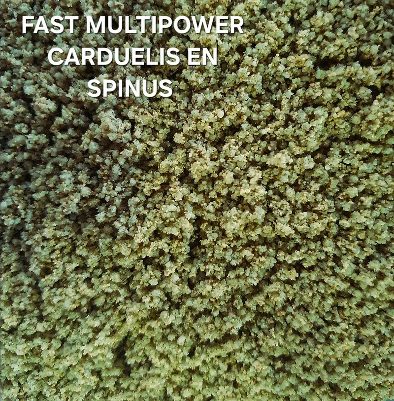 Fast Multipower Carduelis & Spinus 1kg (selbstverpackt) - Grünes Eifutter
