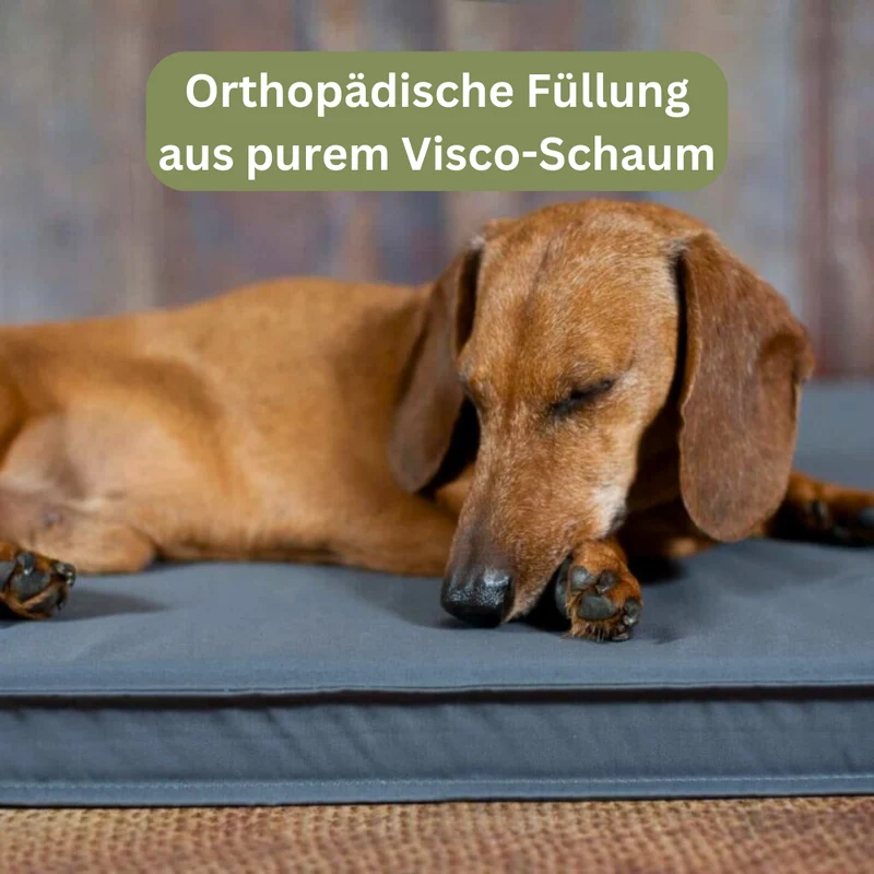 Orthopädische Hundematte - Organic 95