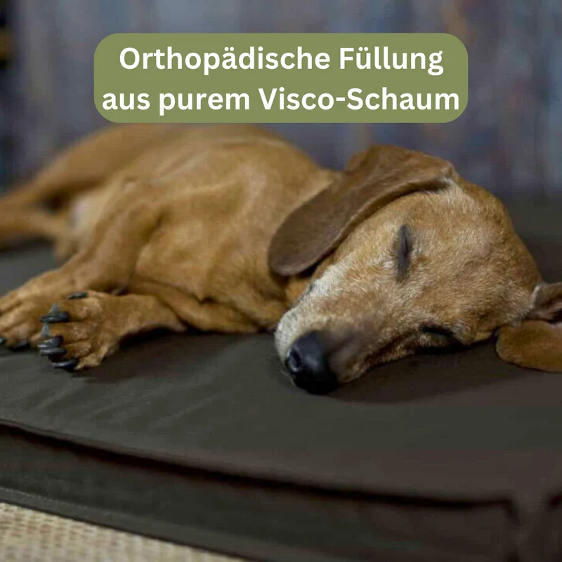 Orthopädische Hundematte - Organic 95