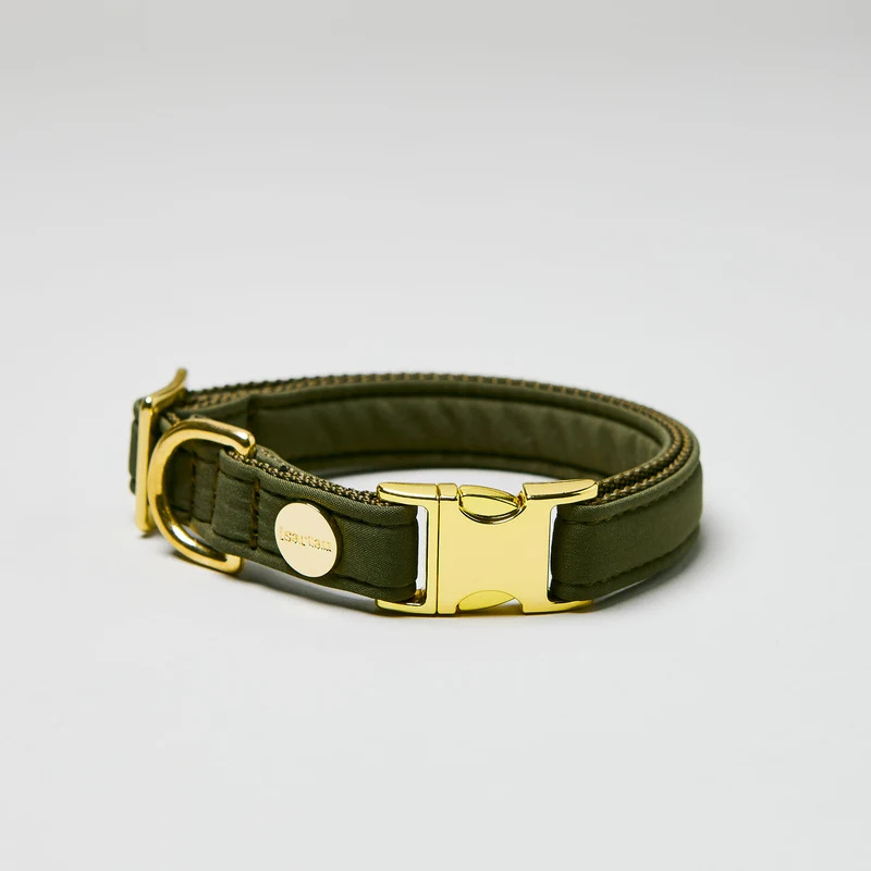Welpenhalsband Softie OLIV