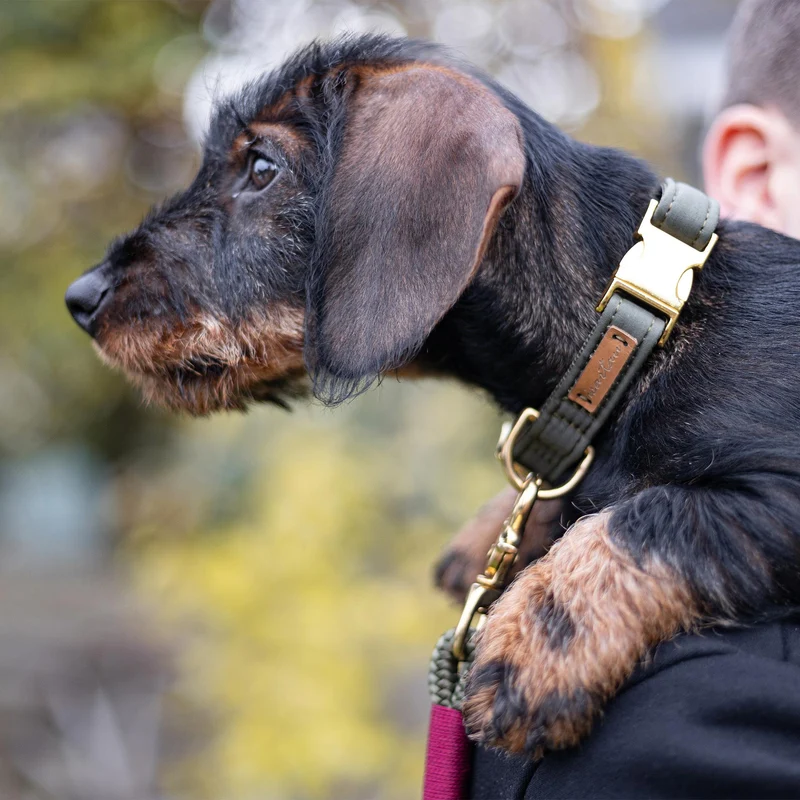 Halsband Softie OLIV