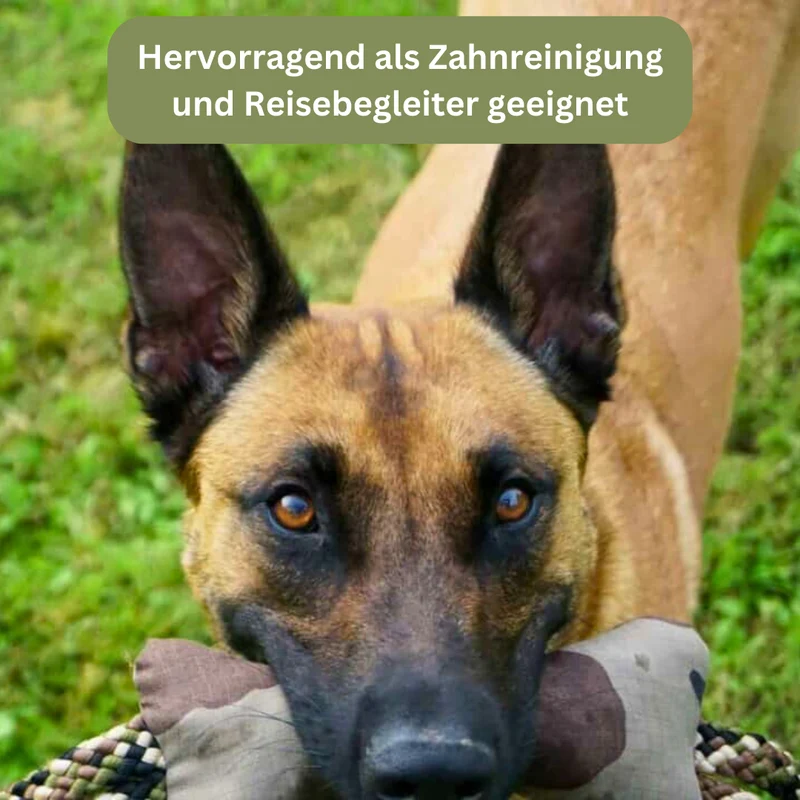 Traumhund® Kordelknochen