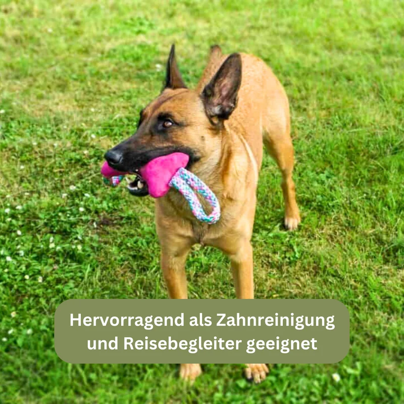 Traumhund® Kordelknochen
