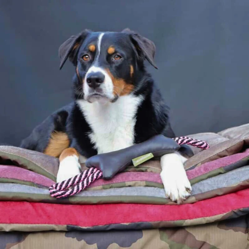 Traumhund® Kordelknochen