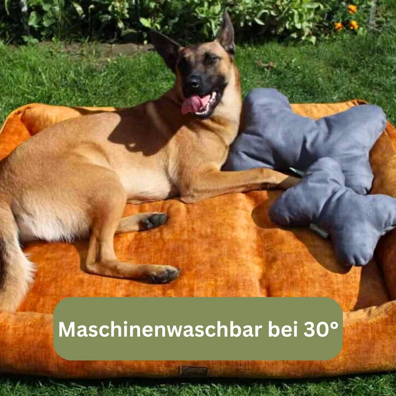 Kopfkissen für Vierbeiner