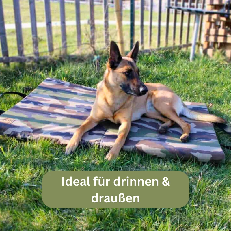 Orthopädische Traveller-Matte für Hunde