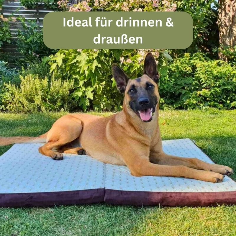 Orthopädische Traveller-Matte für Hunde