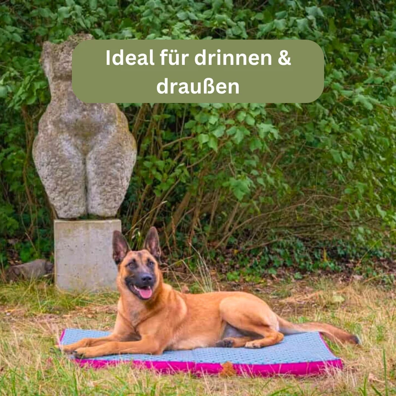 Orthopädische Traveller-Matte für Hunde