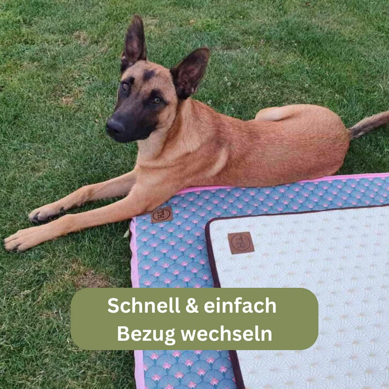 Orthopädische Traveller-Matte für Hunde
