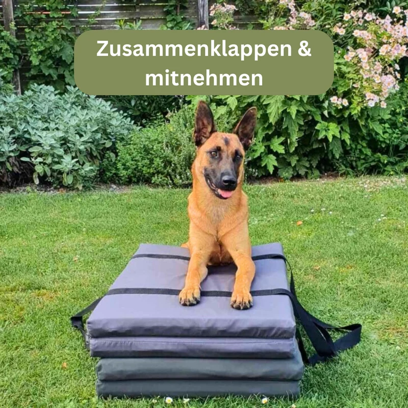 Orthopädische Traveller-Matte für Hunde