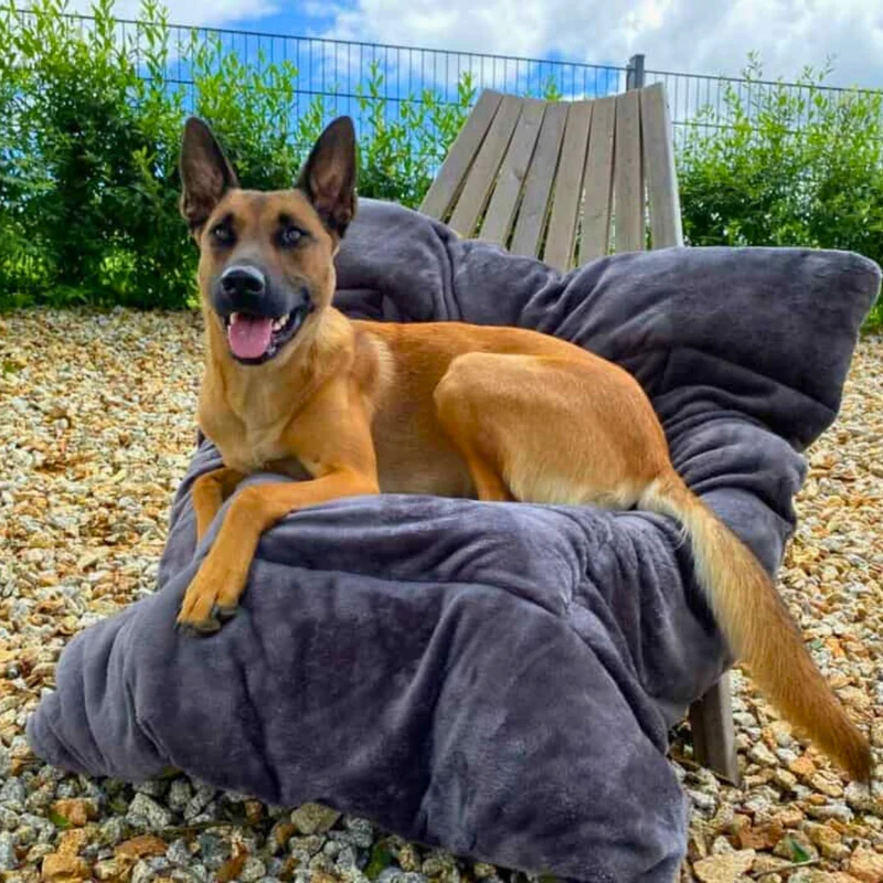Hundedecke - Adventure mit Kuschelfeeling
