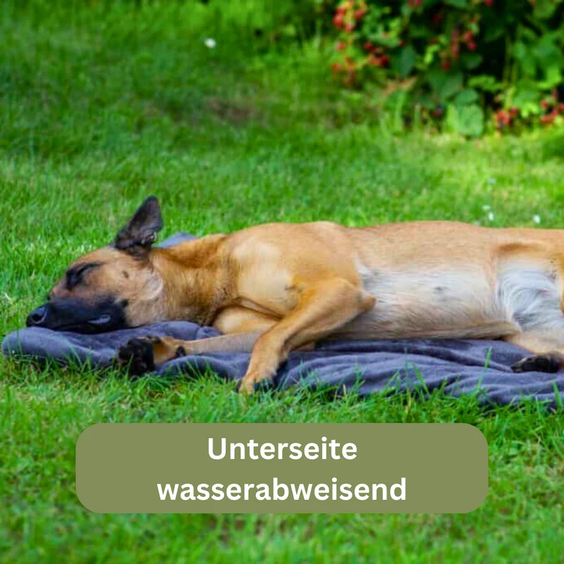 Hundedecke - Adventure mit Kuschelfeeling