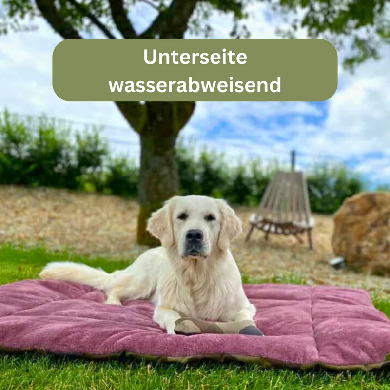 Hundedecke - Adventure mit Kuschelfeeling