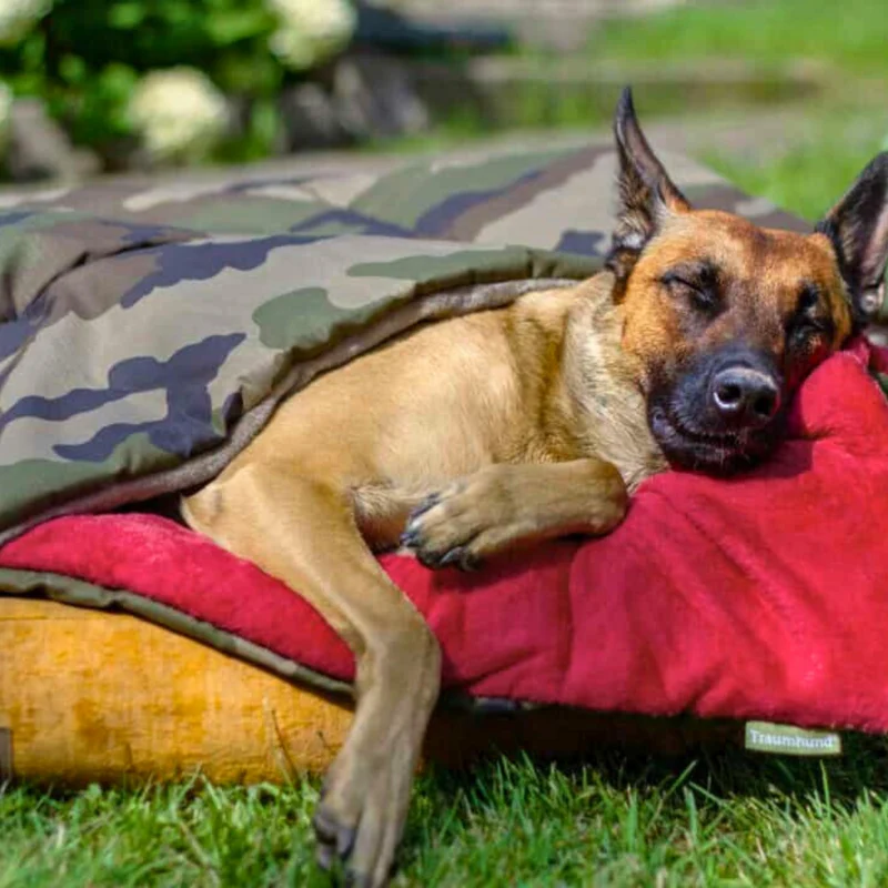 Hundedecke - Adventure mit Kuschelfeeling