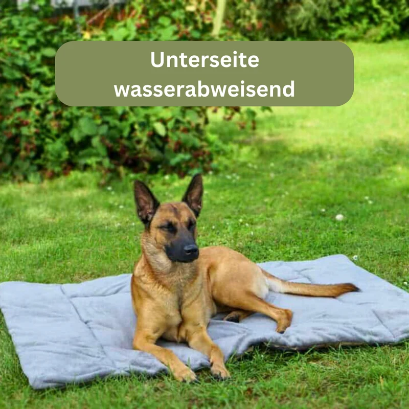 Hundedecke - Adventure mit Kuschelfeeling