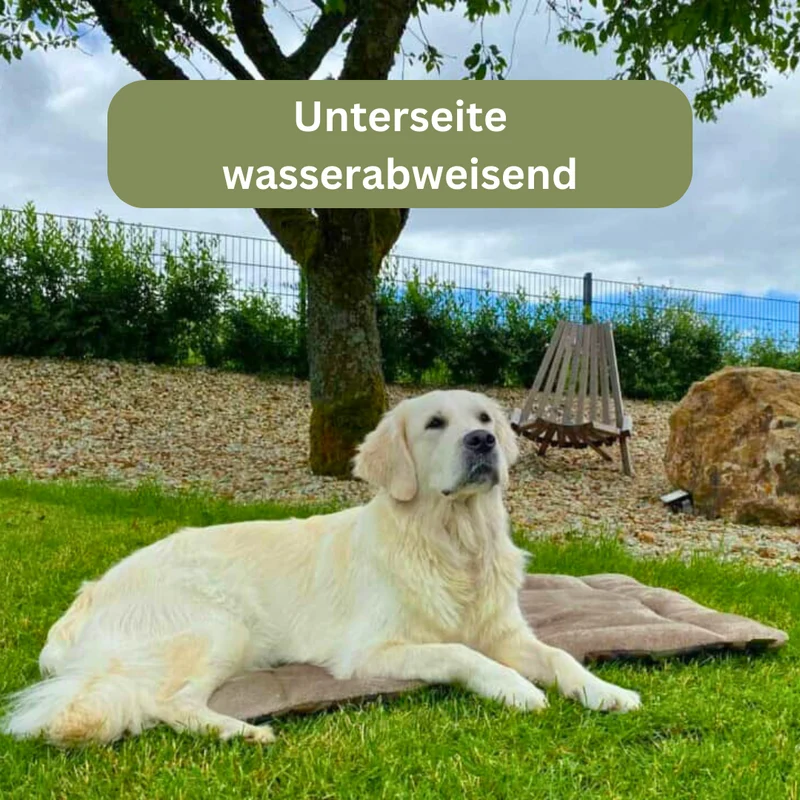 Hundedecke - Adventure mit Kuschelfeeling