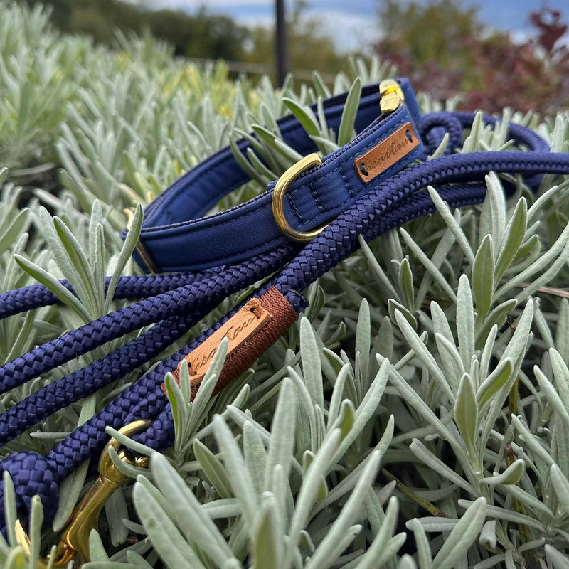 Zugstopp-Halsband Indigo Sea Kastanie