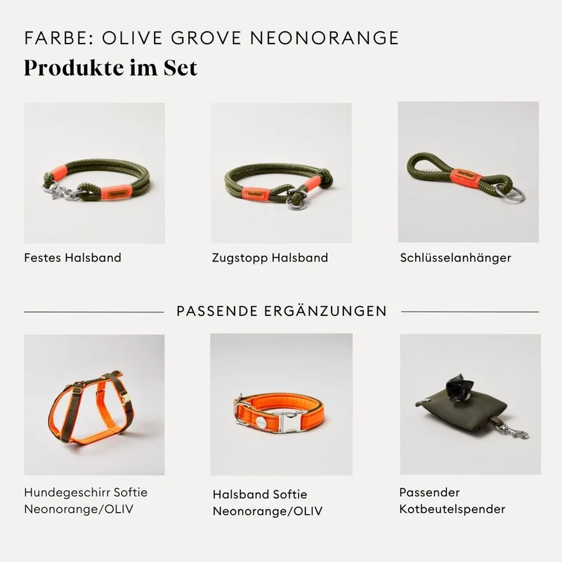 Festes Halsband Olive Grove NEONORANGE