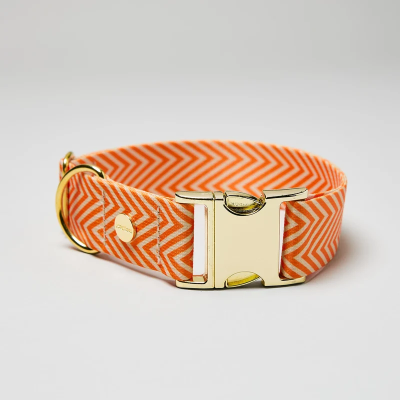 Designerhalsband TÄNZER
