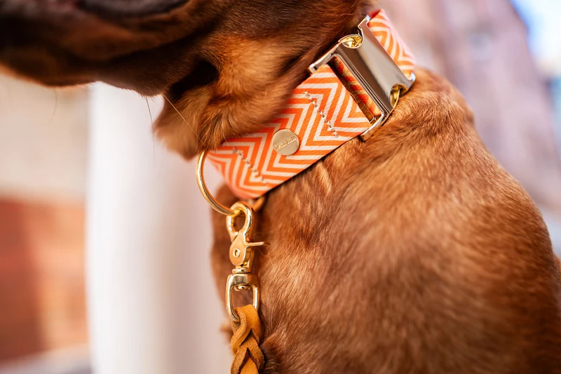 Designerhalsband TÄNZER