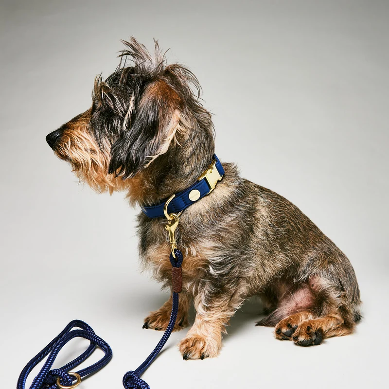 Halsband Softie DUNKELBLAU